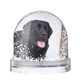 Снежный шар с принтом Черный лабрадор в Кировске, Пластик | Изображение внутри шара печатается на глянцевой фотобумаге с двух сторон | большая | золотистый | лабрадор | лабрадоры | палевый | песик | ретривер | собака | собаки