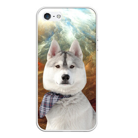 Чехол для iPhone 5/5S матовый с принтом Хаски в Кировске, Силикон | Область печати: задняя сторона чехла, без боковых панелей | маламут | песик | собака | собаки | собачка | хаски