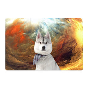 Магнитный плакат 3Х2 с принтом Хаски в Кировске, Полимерный материал с магнитным слоем | 6 деталей размером 9*9 см | маламут | песик | собака | собаки | собачка | хаски