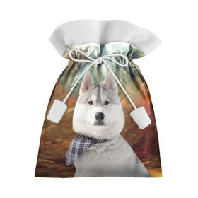 Подарочный 3D мешок с принтом Хаски в Кировске, 100% полиэстер | Размер: 29*39 см | маламут | песик | собака | собаки | собачка | хаски