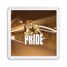 Магнит 55*55 с принтом Pride в Кировске, Пластик | Размер: 65*65 мм; Размер печати: 55*55 мм | Тематика изображения на принте: lion | голова животного | кот | кошка | лев | хищник | царь | цвет