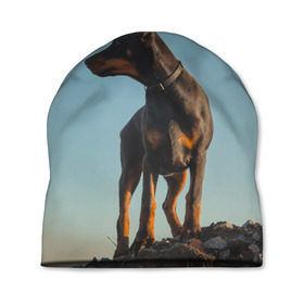 Шапка 3D с принтом Доберман в Кировске, 100% полиэстер | универсальный размер, печать по всей поверхности изделия | доберман | доберманы | пес | песик | псы | собака | собаки