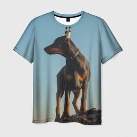 Мужская футболка 3D с принтом Доберман в Кировске, 100% полиэфир | прямой крой, круглый вырез горловины, длина до линии бедер | доберман | доберманы | пес | песик | псы | собака | собаки