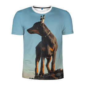 Мужская футболка 3D спортивная с принтом Доберман в Кировске, 100% полиэстер с улучшенными характеристиками | приталенный силуэт, круглая горловина, широкие плечи, сужается к линии бедра | доберман | доберманы | пес | песик | псы | собака | собаки