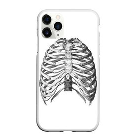 Чехол для iPhone 11 Pro Max матовый с принтом Ребра в Кировске, Силикон |  | bones | halloween | skull | скелет | скелеты | хеллоиун | хэллоуин | хэлоуин | череп | черепа