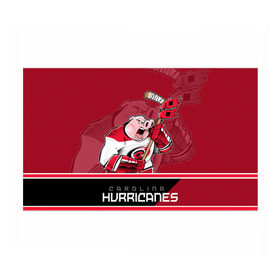 Бумага для упаковки 3D с принтом Carolina Hurricanes в Кировске, пластик и полированная сталь | круглая форма, металлическое крепление в виде кольца | carolina hurricanes | nhl | stanley cup | каролина | каролина харрикейнз | кубок стенли | кубок стэнли | нхл | хоккей | хоккейный клуб | хурикэйнс