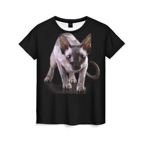 Женская футболка 3D с принтом Сфинкс в Кировске, 100% полиэфир ( синтетическое хлопкоподобное полотно) | прямой крой, круглый вырез горловины, длина до линии бедер | взгляд | глаза | голова животного | киска | кот | котёнок | кошка | прикольные картинки