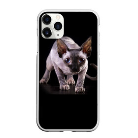 Чехол для iPhone 11 Pro матовый с принтом Сфинкс в Кировске, Силикон |  | Тематика изображения на принте: взгляд | глаза | голова животного | киска | кот | котёнок | кошка | прикольные картинки