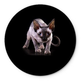 Коврик круглый с принтом Сфинкс в Кировске, резина и полиэстер | круглая форма, изображение наносится на всю лицевую часть | взгляд | глаза | голова животного | киска | кот | котёнок | кошка | прикольные картинки