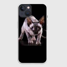Чехол для iPhone 13 с принтом Сфинкс в Кировске,  |  | взгляд | глаза | голова животного | киска | кот | котёнок | кошка | прикольные картинки