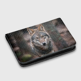 Картхолдер с принтом с принтом Wolf в Кировске, натуральная матовая кожа | размер 7,3 х 10 см; кардхолдер имеет 4 кармана для карт; | зверь | лес