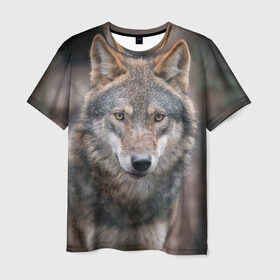 Мужская футболка 3D с принтом Wolf в Кировске, 100% полиэфир | прямой крой, круглый вырез горловины, длина до линии бедер | зверь | лес