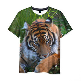 Мужская футболка 3D с принтом Скромный тигр в Кировске, 100% полиэфир | прямой крой, круглый вырез горловины, длина до линии бедер | дикие | лев | милые | новинки | орел | популярные | прикольные | природа | птицы | тигр | яркие