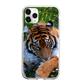 Чехол для iPhone 11 Pro матовый с принтом Скромный тигр в Кировске, Силикон |  | Тематика изображения на принте: дикие | лев | милые | новинки | орел | популярные | прикольные | природа | птицы | тигр | яркие