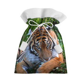 Подарочный 3D мешок с принтом Скромный тигр в Кировске, 100% полиэстер | Размер: 29*39 см | Тематика изображения на принте: дикие | лев | милые | новинки | орел | популярные | прикольные | природа | птицы | тигр | яркие