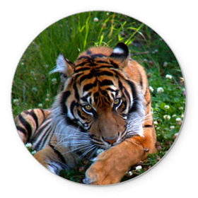 Коврик круглый с принтом Скромный тигр в Кировске, резина и полиэстер | круглая форма, изображение наносится на всю лицевую часть | Тематика изображения на принте: дикие | лев | милые | новинки | орел | популярные | прикольные | природа | птицы | тигр | яркие