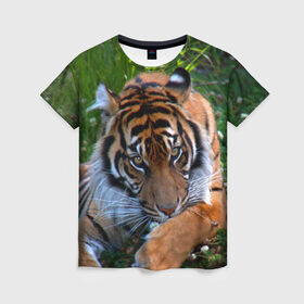 Женская футболка 3D с принтом Скромный тигр в Кировске, 100% полиэфир ( синтетическое хлопкоподобное полотно) | прямой крой, круглый вырез горловины, длина до линии бедер | Тематика изображения на принте: дикие | лев | милые | новинки | орел | популярные | прикольные | природа | птицы | тигр | яркие