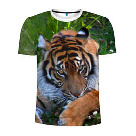 Мужская футболка 3D спортивная с принтом Скромный тигр в Кировске, 100% полиэстер с улучшенными характеристиками | приталенный силуэт, круглая горловина, широкие плечи, сужается к линии бедра | Тематика изображения на принте: дикие | лев | милые | новинки | орел | популярные | прикольные | природа | птицы | тигр | яркие