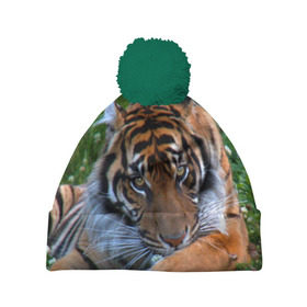 Шапка 3D c помпоном с принтом Скромный тигр в Кировске, 100% полиэстер | универсальный размер, печать по всей поверхности изделия | дикие | лев | милые | новинки | орел | популярные | прикольные | природа | птицы | тигр | яркие