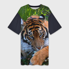 Платье-футболка 3D с принтом Скромный тигр в Кировске,  |  | дикие | лев | милые | новинки | орел | популярные | прикольные | природа | птицы | тигр | яркие