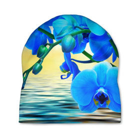 Шапка 3D с принтом Орхидеи в Кировске, 100% полиэстер | универсальный размер, печать по всей поверхности изделия | орхидея | природа | цветы