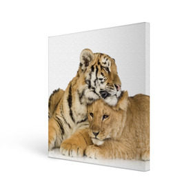 Холст квадратный с принтом Тигр и львица в Кировске, 100% ПВХ |  | дикие | милые | природа | тигр | яркие