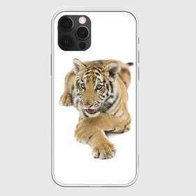 Чехол для iPhone 12 Pro Max с принтом Ласковый тигренок в Кировске, Силикон |  | Тематика изображения на принте: дикие | милые | природа | тигр | яркие