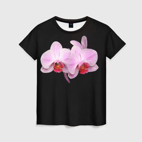 Женская футболка 3D с принтом Орхидея в Кировске, 100% полиэфир ( синтетическое хлопкоподобное полотно) | прямой крой, круглый вырез горловины, длина до линии бедер | Тематика изображения на принте: 