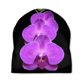 Шапка 3D с принтом Орхидея в Кировске, 100% полиэстер | универсальный размер, печать по всей поверхности изделия | Тематика изображения на принте: орхидея | флора | цветок