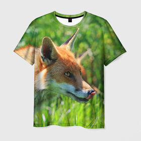 Мужская футболка 3D с принтом Лисица в Кировске, 100% полиэфир | прямой крой, круглый вырез горловины, длина до линии бедер | животные | лес | лиса | природа | рыжая
