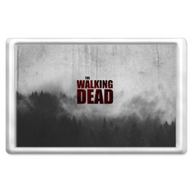 Магнит 45*70 с принтом The Walking Dead в Кировске, Пластик | Размер: 78*52 мм; Размер печати: 70*45 | the walking dead | америка | апокалипсис | глен | дерил | зомби | карл | кровь | рик | сша | ходячие мертвецы