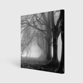 Холст квадратный с принтом Туман в лесу в Кировске, 100% ПВХ |  | Тематика изображения на принте: black   white | fog | forest | morning | photo | silhouette | trees | деревья | лес | силуэт | туман | утро | фото | черно   белое