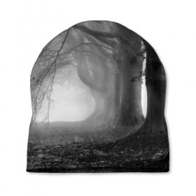 Шапка 3D с принтом Туман в лесу в Кировске, 100% полиэстер | универсальный размер, печать по всей поверхности изделия | black   white | fog | forest | morning | photo | silhouette | trees | деревья | лес | силуэт | туман | утро | фото | черно   белое