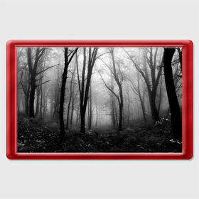 Магнит 45*70 с принтом Туман в лесу в Кировске, Пластик | Размер: 78*52 мм; Размер печати: 70*45 | black   white | fog | forest | morning | photo | silhouette | trees | деревья | лес | силуэт | туман | утро | фото | черно   белое