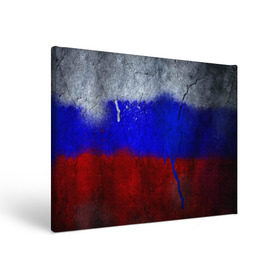 Холст прямоугольный с принтом Триколор (Краской на земле) в Кировске, 100% ПВХ |  | russia | белый | красный | российский флаг | россия | синий | триколор