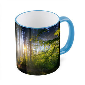 Кружка 3D с принтом Утро в лесу в Кировске, керамика | ёмкость 330 мл | bright | fog | forest | morning | sun | tree | trees | дерево | деревья | лес | солнце | туман | утро | яркое