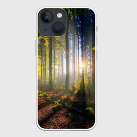 Чехол для iPhone 13 mini с принтом Утро в лесу в Кировске,  |  | bright | fog | forest | morning | sun | tree | trees | дерево | деревья | лес | солнце | туман | утро | яркое