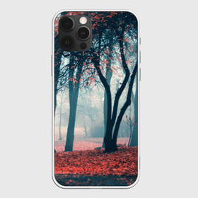 Чехол для iPhone 12 Pro Max с принтом Осень в Кировске, Силикон |  | autumn | bright | colors | forest | paint | trees | деревья | краски | лес | осень | цвета | яркие