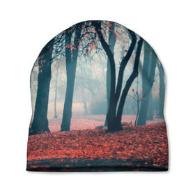 Шапка 3D с принтом Осень в Кировске, 100% полиэстер | универсальный размер, печать по всей поверхности изделия | autumn | bright | colors | forest | paint | trees | деревья | краски | лес | осень | цвета | яркие