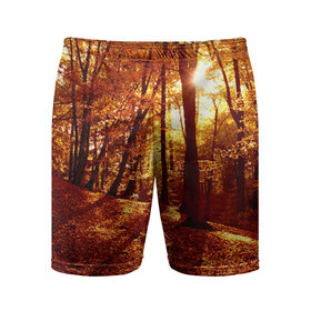 Мужские шорты 3D спортивные с принтом Осень в Кировске,  |  | 