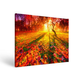 Холст прямоугольный с принтом Осень в Кировске, 100% ПВХ |  | autumn | bright | colors | forest | trees | деревья | краски | лес | лучи | осень | солнце | цвета | яркие