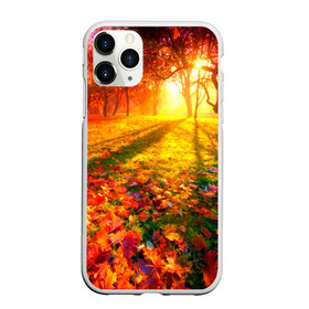 Чехол для iPhone 11 Pro Max матовый с принтом Осень в Кировске, Силикон |  | autumn | bright | colors | forest | trees | деревья | краски | лес | лучи | осень | солнце | цвета | яркие