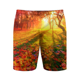 Мужские шорты 3D спортивные с принтом Осень в Кировске,  |  | autumn | bright | colors | forest | trees | деревья | краски | лес | лучи | осень | солнце | цвета | яркие