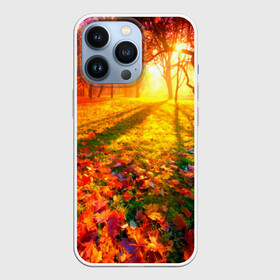 Чехол для iPhone 13 Pro с принтом Осень в Кировске,  |  | autumn | bright | colors | forest | trees | деревья | краски | лес | лучи | осень | солнце | цвета | яркие