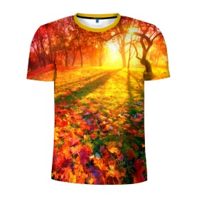 Мужская футболка 3D спортивная с принтом Осень в Кировске, 100% полиэстер с улучшенными характеристиками | приталенный силуэт, круглая горловина, широкие плечи, сужается к линии бедра | autumn | bright | colors | forest | trees | деревья | краски | лес | лучи | осень | солнце | цвета | яркие