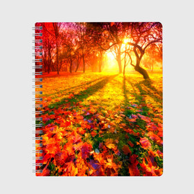 Тетрадь с принтом Осень в Кировске, 100% бумага | 48 листов, плотность листов — 60 г/м2, плотность картонной обложки — 250 г/м2. Листы скреплены сбоку удобной пружинной спиралью. Уголки страниц и обложки скругленные. Цвет линий — светло-серый
 | autumn | bright | colors | forest | trees | деревья | краски | лес | лучи | осень | солнце | цвета | яркие