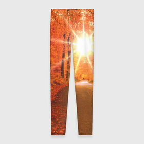Леггинсы 3D с принтом Осеннее солнце в Кировске, 80% полиэстер, 20% эластан | Эластичный пояс, зауженные к низу, низкая посадка | autumn | bright | colors | forest | trees | деревья | дорога | краски | лес | лучи | осень | солнце | цвета | яркие