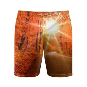 Мужские шорты 3D спортивные с принтом Осеннее солнце в Кировске,  |  | autumn | bright | colors | forest | trees | деревья | дорога | краски | лес | лучи | осень | солнце | цвета | яркие