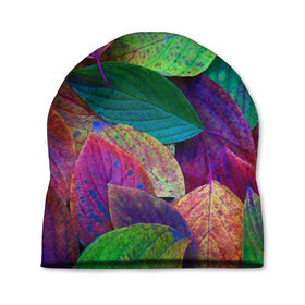 Шапка 3D с принтом Осень в Кировске, 100% полиэстер | универсальный размер, печать по всей поверхности изделия | autumn | bright | color | forest | leaves | paint | trees | деревья | краски | лес | листья | осень | цвета | яркие