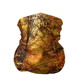 Бандана-труба 3D с принтом Осень в Кировске, 100% полиэстер, ткань с особыми свойствами — Activecool | плотность 150‒180 г/м2; хорошо тянется, но сохраняет форму | autumn | bright | colors | forest | paint | trees | деревья | краски | лес | осень | цвета | яркие